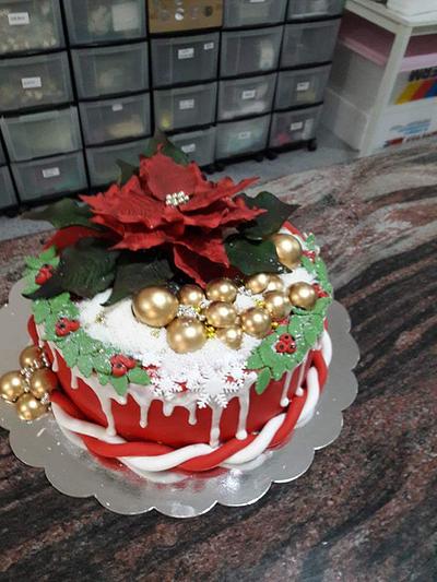 christmas cake - Cake by aco