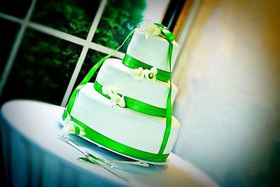 Last Minute Wedding Cake - Cake by Terry Campbell