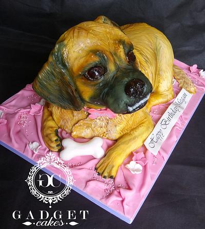 Bischon/Pug cross Dog Cake - Cake by Gadget Cakes
