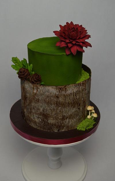 Chocolate  cake - Cake by JarkaSipkova