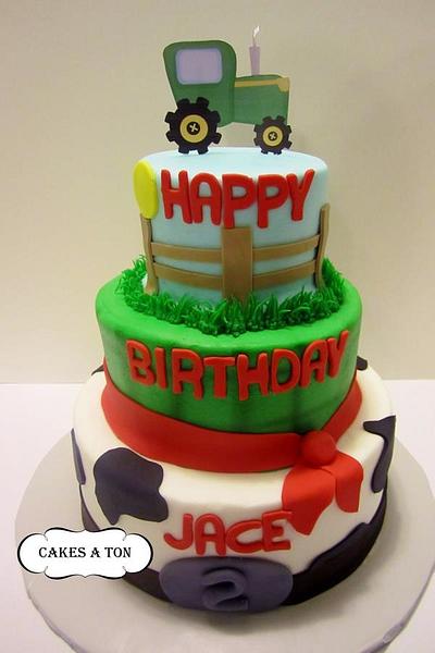 Hoedown Birthday Cake  - Cake by Cakes A Ton 