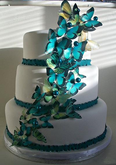The Butterfly effect - Cake by sarahf