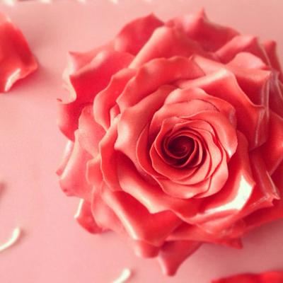 Valentine rose - Cake by Alison Lee