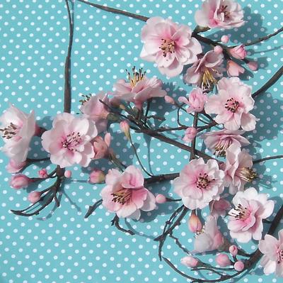 Cherry Blossoms - Cake by Goreti