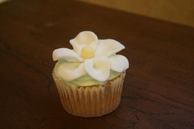 Magnolia Cup Cakes - Cake by Classic Touches