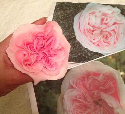 Isis Belle David Austin Style Rose nearly finished - Cake by Lisa Templeton