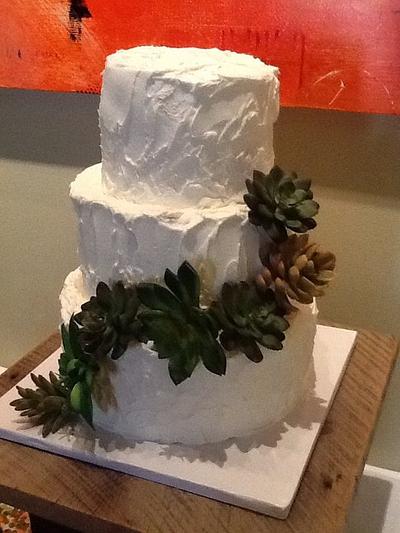 Succulent cake - Cake by John Flannery