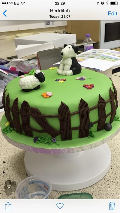 Border collie  - Cake by dogsmother