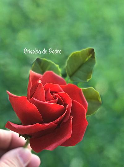 Red rose - Cake by Griselda de Pedro
