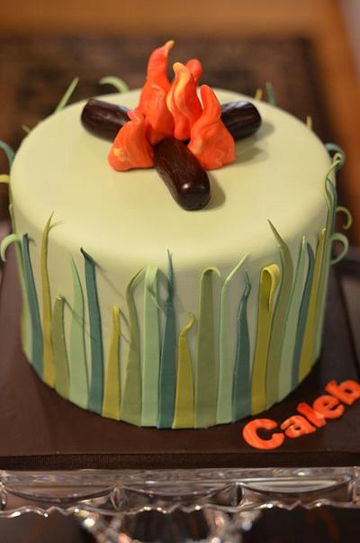 Campfire Cake - Cake by Elisabeth Palatiello