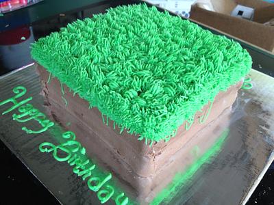 Minecraft dirt block - Cake by Amy