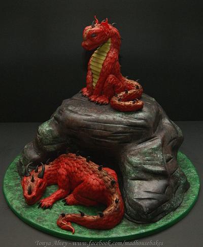 My Dragons and Cave Cake - Cake by Tonya Alvey - MadHouse Bakes