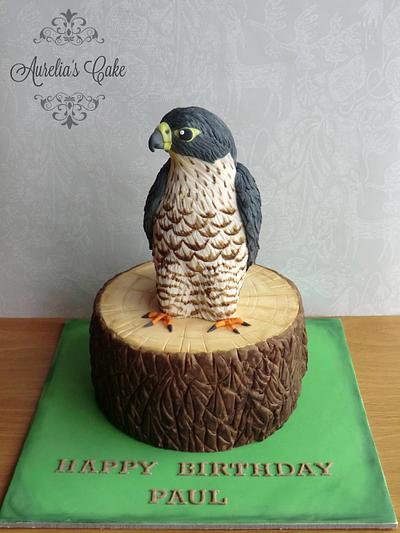 Falcon cake - Cake by Aurelia's Cake