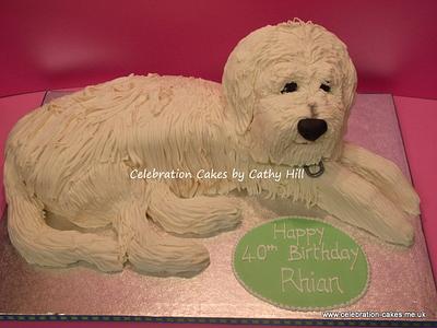 Labradoodle - Cake by Celebration Cakes by Cathy Hill