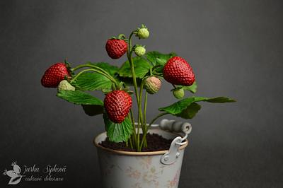 Strawberries - Cake by JarkaSipkova