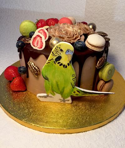 naked cake with parakeet - Cake by Andrea