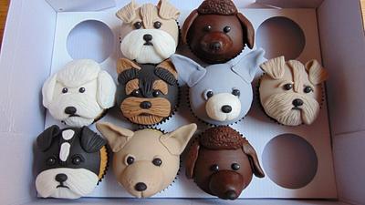 Doggie cupcakes - Cake by For the love of cake (Laylah Moore)