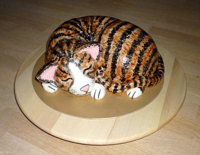 Cat  - Cake by Janka
