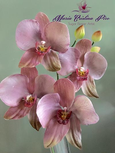 New passion...Orchid airbrushed - Cake by Piro Maria Cristina