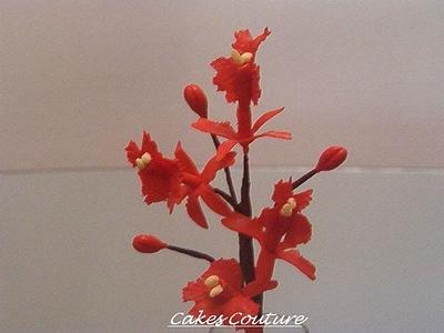 Gumpaste Epidendrum Orchids - Cake by Cakeicer (Shirley)