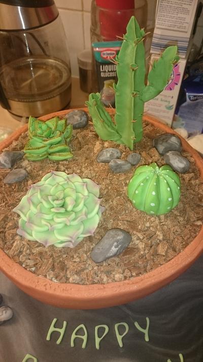 Cactus and succulents  - Cake by SugarMagicCakes (Christine)