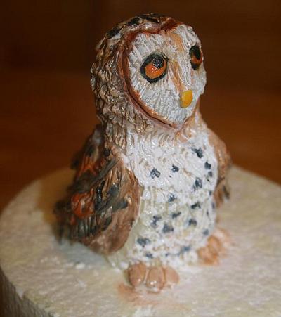 Modeling chocolate barn owl - Cake by Stacey Fruchey
