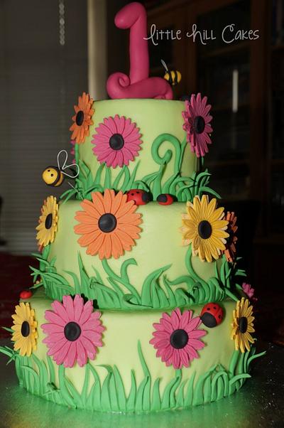 My first decorated cake! - Cake by Little Hill Cakes