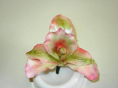 Fantasy Orchids - Cake by Fun Fiesta Cakes  