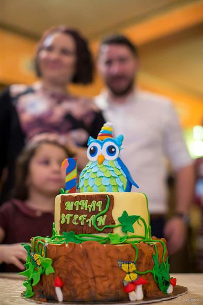 Owl cake - Cake by MySweetCorner