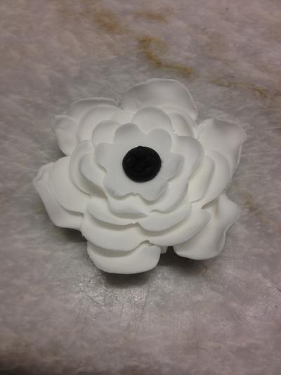 White flower  - Cake by Niknoknoos Cakery