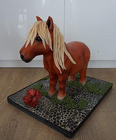 3D Pony cake - Cake by Eliska