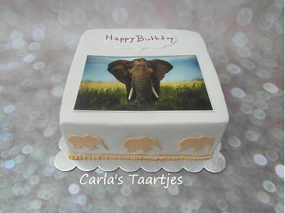 Africa Cake  - Cake by Carla 