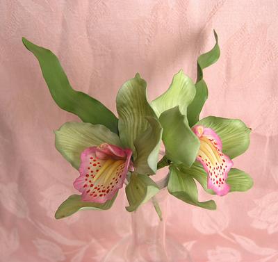 Cymbidium Orchids - Cake by Lena Bender