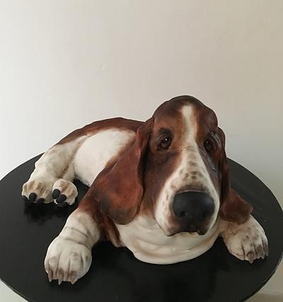 The beautiful basset hound Buster  - Cake by Savyscakes