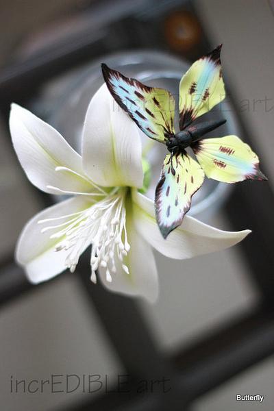 Butterfly sitting over White Bobax flower! - Cake by Rumana Jaseel