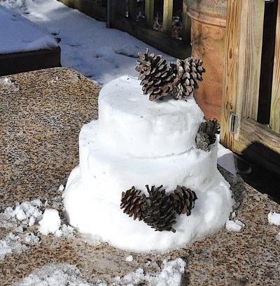 3 Tiered Rustic Snow Cake - Cake by Cakes For Fun