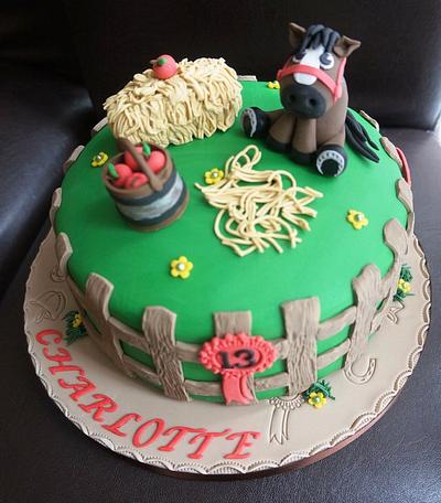 Horse Themed Birthday Cake - Cake by Gills Cupcake Corner