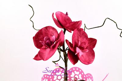 orchid sugar - Cake by ana ioan