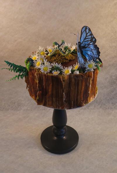The Catterpillar and the Butterfly - Cake by K’nash cakes
