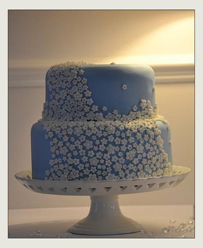 Blue - Cake by Lisa Nobles
