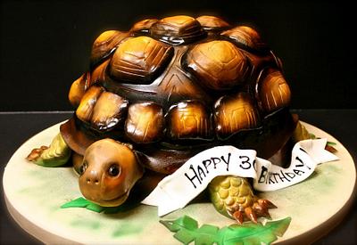 Tortoise Cake - Cake by Stacy Lint