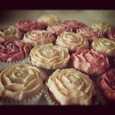 Rose Cupcakes - Cake by Julie
