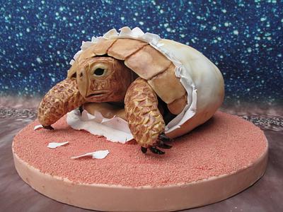 Hatchling Turtle - Cake by Eddy Mannak