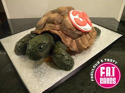 Tortoise Cake - Cake by FatCakes