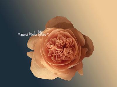 David Austin Wafer Paper Rose - Cake by Sweet Rocket Queen (Simona Stabile)