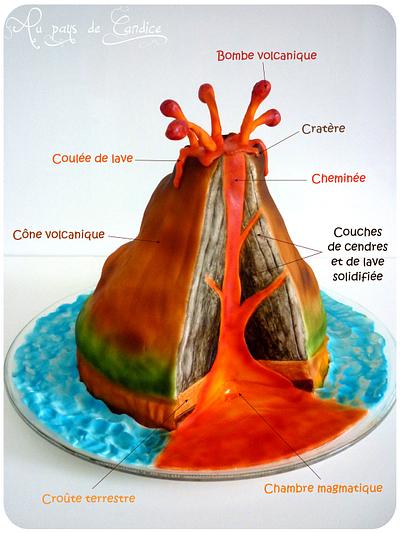 Lesson on Volcanoes - Cake by Au pays de Candice