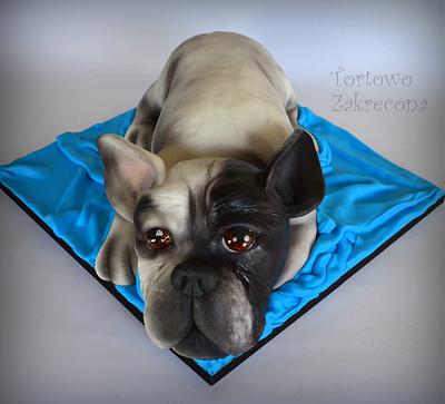 dog cake - Cake by tortowozakrecona