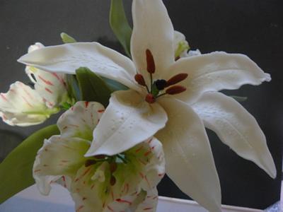 ORIENTAL MOUNTAIN LILY AND TULIPS , - Cake by gail