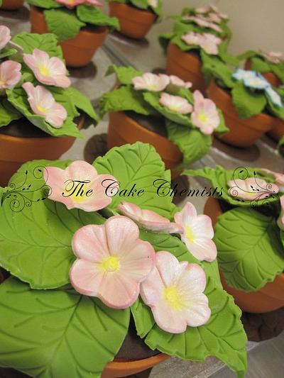 Spring Flowers - Mini Flower Pot Cakes - Cake by The Cake Chemists