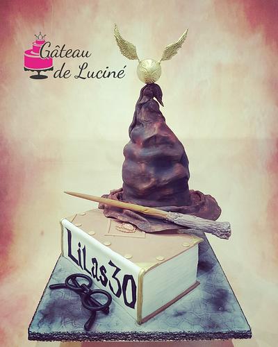 Harry Potter themed cakes  - Cake by Gâteau de Luciné
